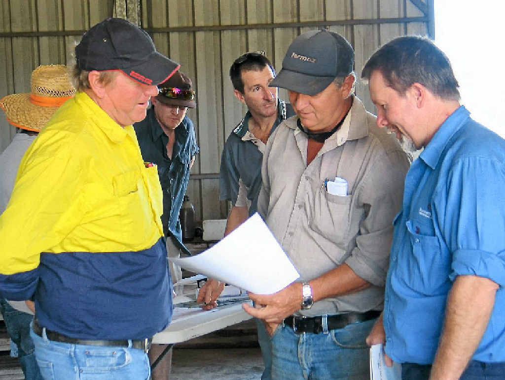 Hard hit ginger growers John Dickfos and Michael Framton discuss their pig issues with Brad Crosbie from the Burnett Mary Regional Group. Hard hit ginger growers John Dickfos and Michael Framton discuss their pig issues with Brad Crosbie from the Burnett Mary Regional Group.